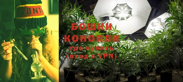 амф Богданович