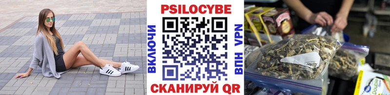 дарк нет формула Красноармейск Псилоцибиновые грибы Psilocybine cubensis